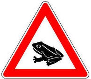 Schildkröte